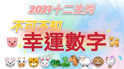 12生肖幸運數字|十二生肖「幸運數字、幸運顏色、大吉方位」！跟著做。